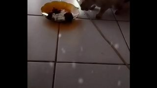 Anita, Gadis Liar yang Menggoda