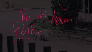 Gak bisa tidur, pengen digoyang