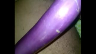Shonu si brinjal India bikin makin pengen ngocok